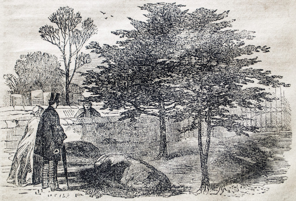 An engraving showing a grave under a tree with a couple stood looking at it.